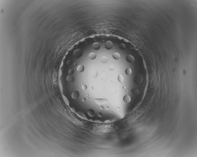 X0000054370081200508011231