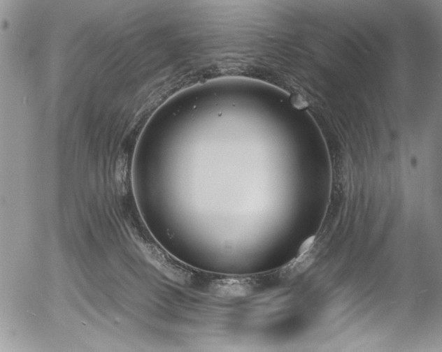 X0000054370082200508011231