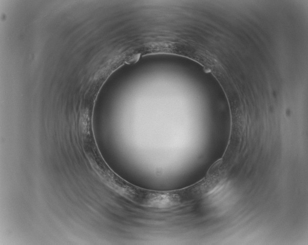 X0000054370083200508011232