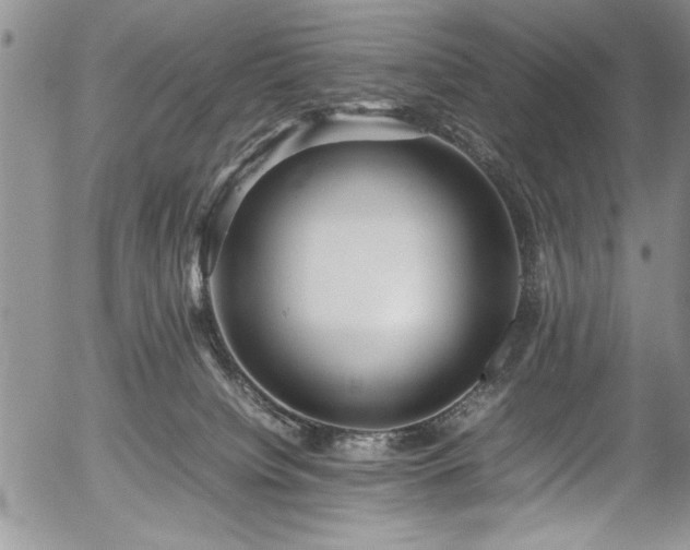 X0000054370084200508011232