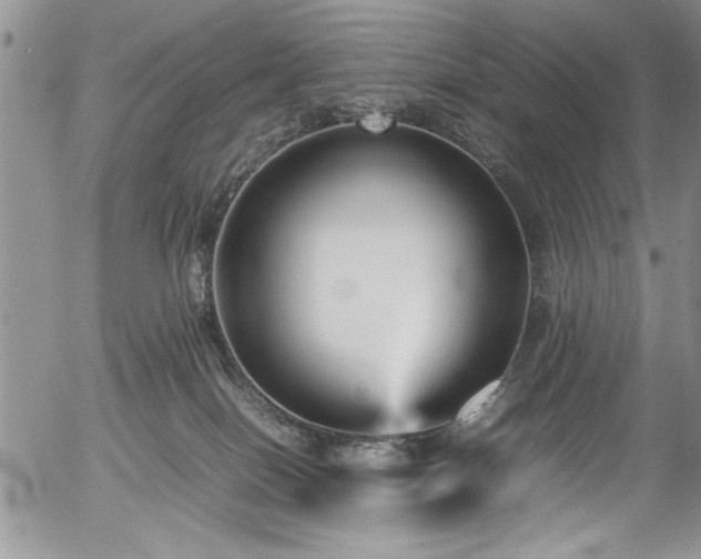 X0000054370086200508011232