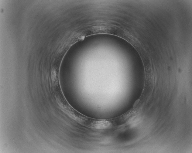 X0000054370087200508011232