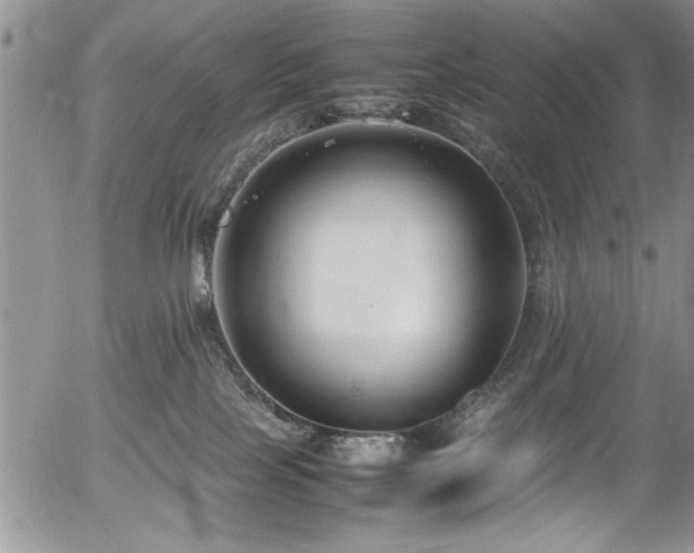 X0000054370089200508011232