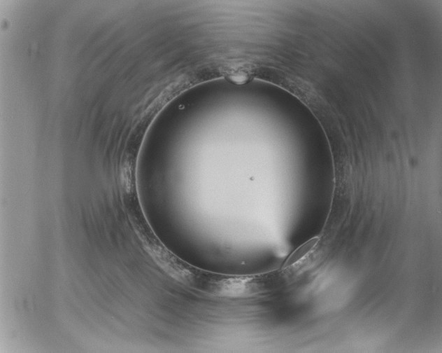 X0000054370090200508011232