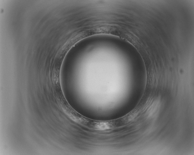 X0000054370091200508011232