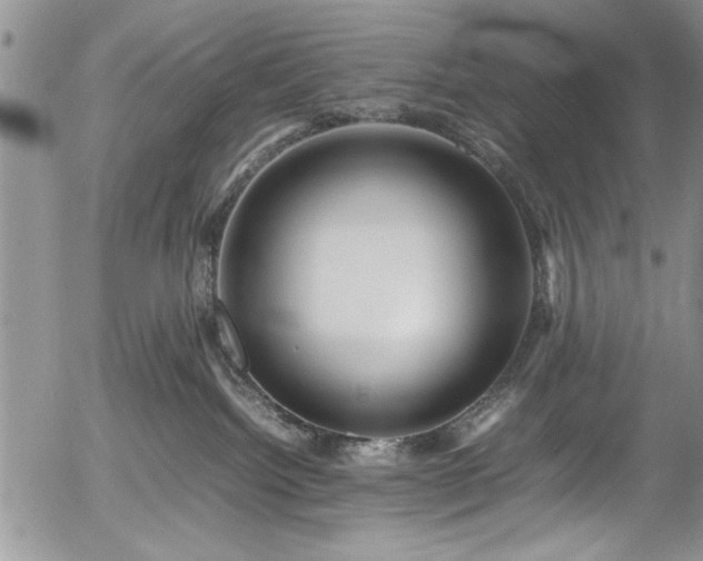 X0000054370092200508011232