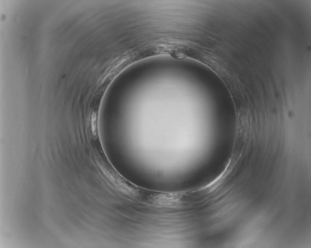 X0000054370094200508011232