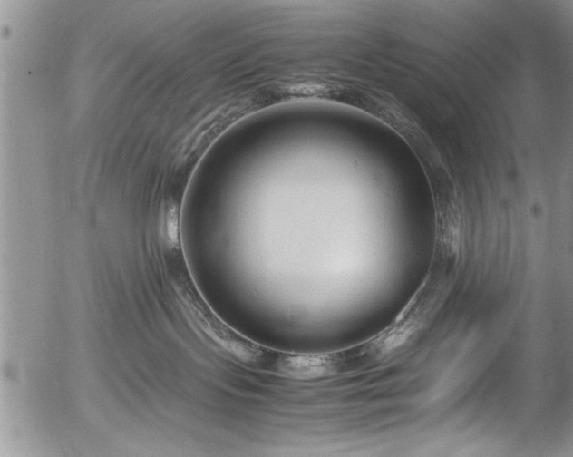 X0000054370095200508011232