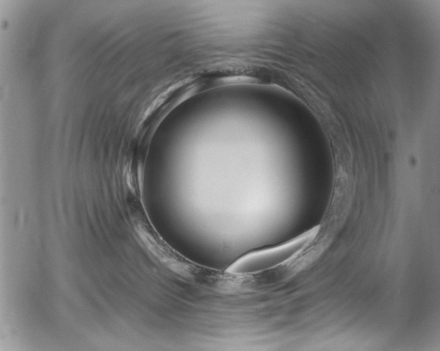 X0000054370096200508011232