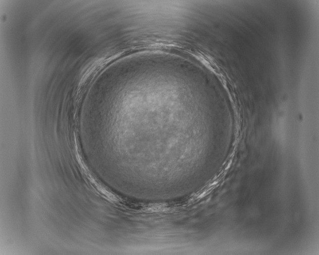 X0000054370097200508011231