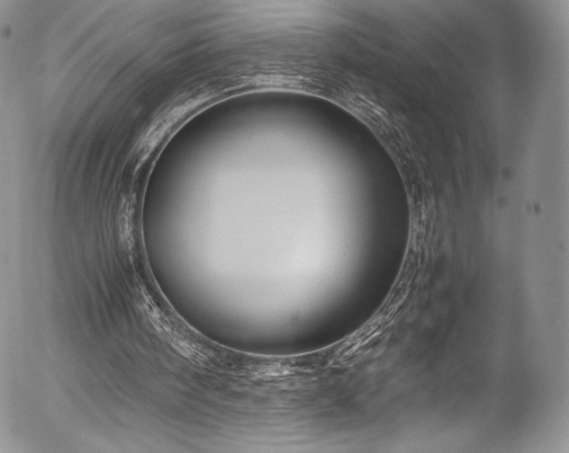 X0000054370098200508011231