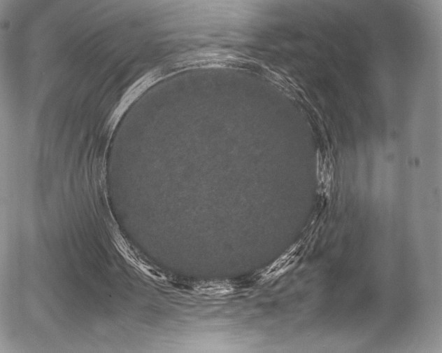 X0000054370099200508011231