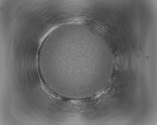 X0000054370100200508011231