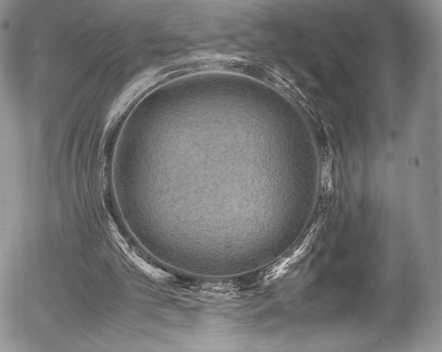 X0000054370101200508011231