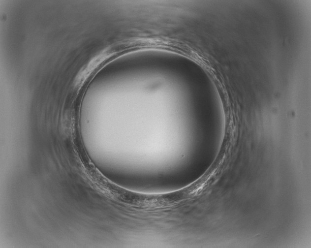 X0000054370103200508011231