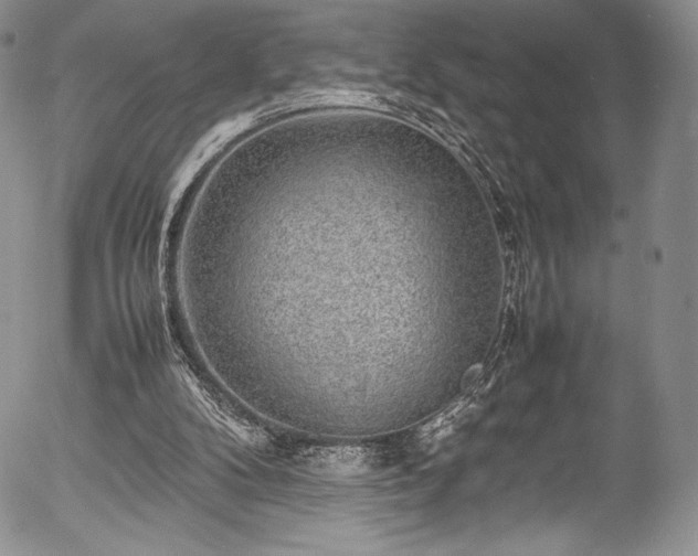 X0000054370104200508011231