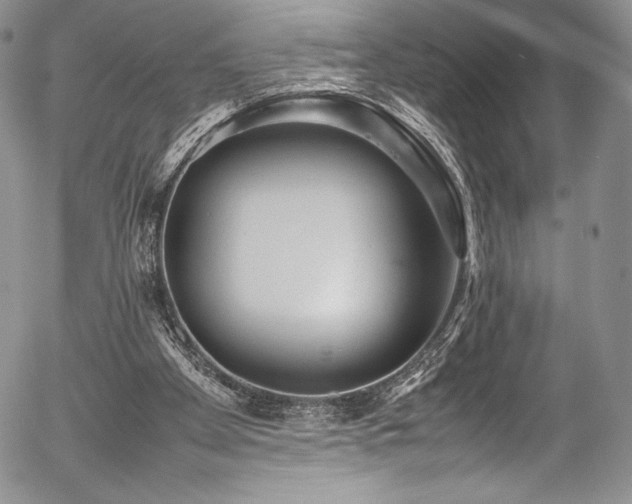 X0000054370105200508011231