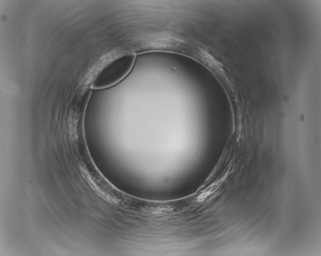 X0000054370106200508011231