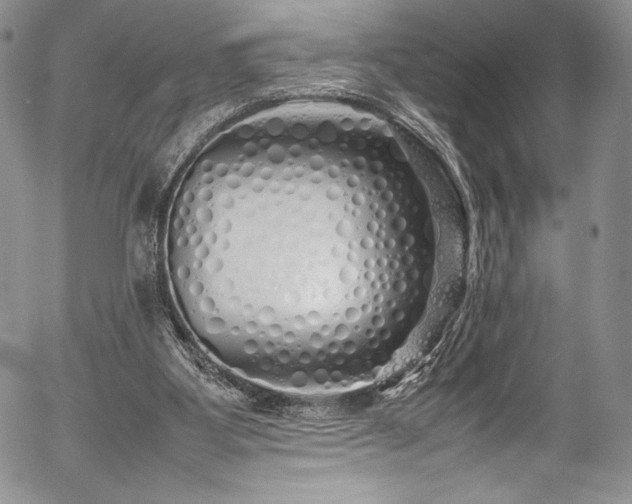 X0000054370107200508011231