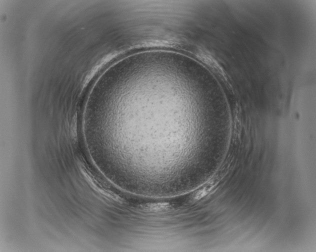 X0000054370108200508011231