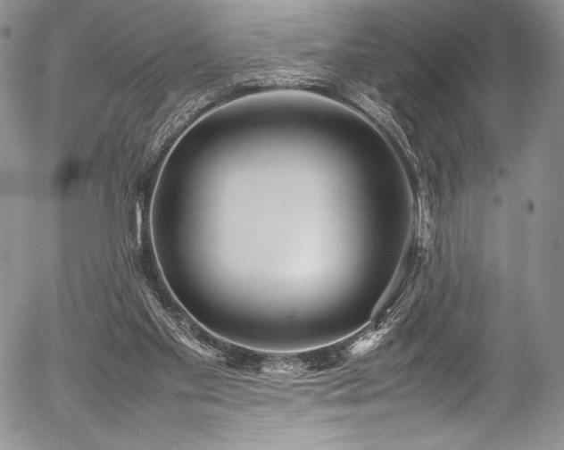 X0000054370109200508011231