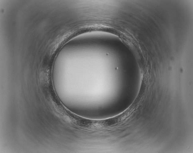 X0000054370111200508011231