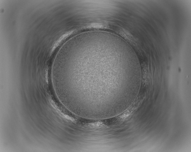 X0000054370112200508011231