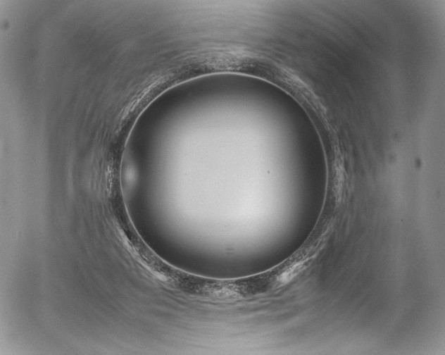 X0000054370113200508011231