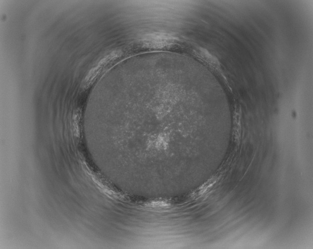 X0000054370114200508011231