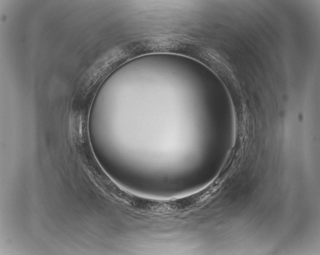 X0000054370115200508011231