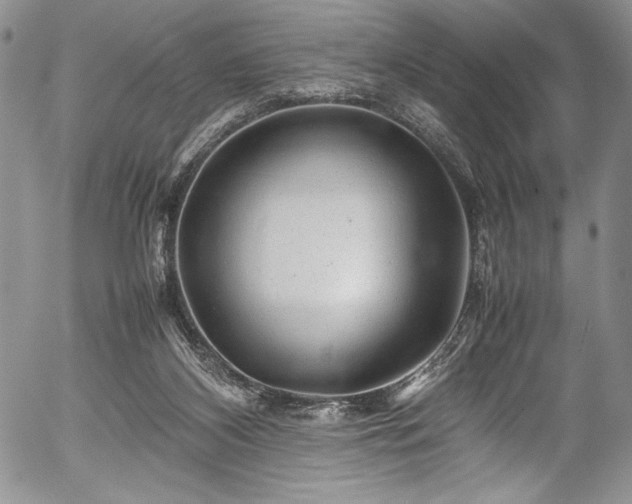 X0000054370116200508011231