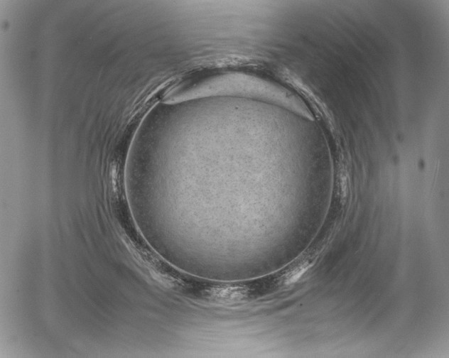 X0000054370117200508011231