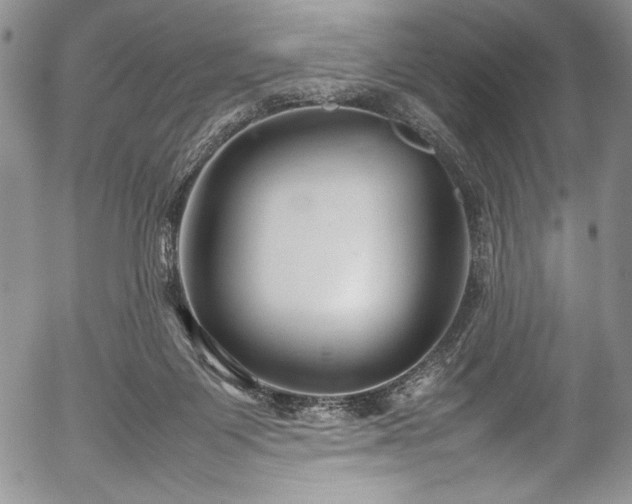 X0000054370119200508011231