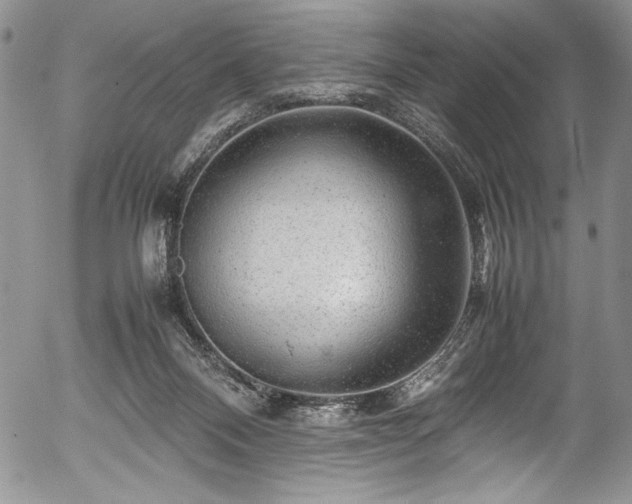 X0000054370120200508011231