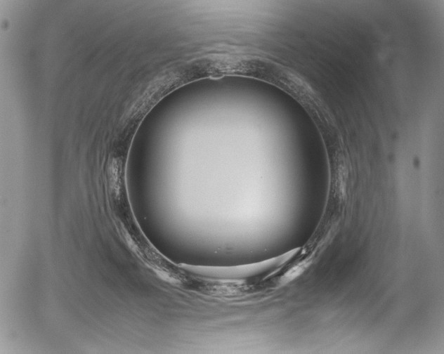 X0000054370121200508011231