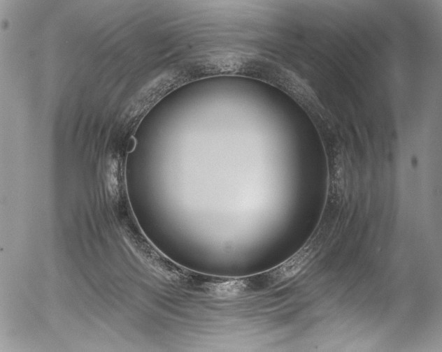 X0000054370122200508011230