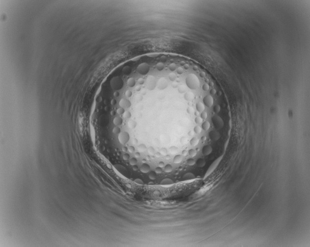 X0000054370123200508011230