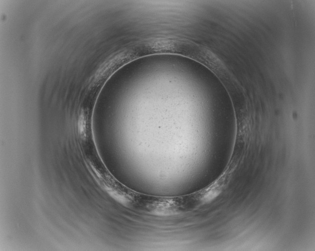 X0000054370124200508011230