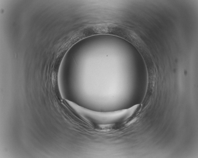 X0000054370125200508011230