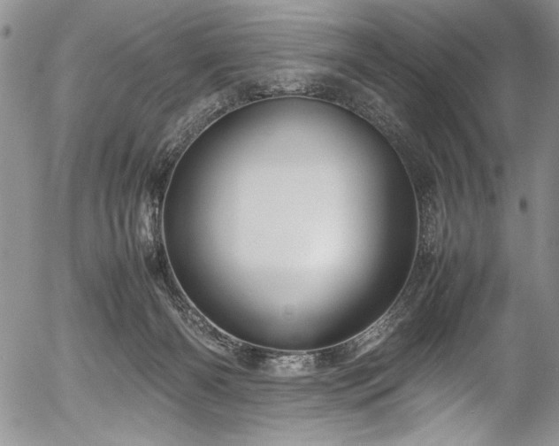 X0000054370126200508011230