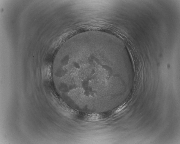 X0000054370127200508011230