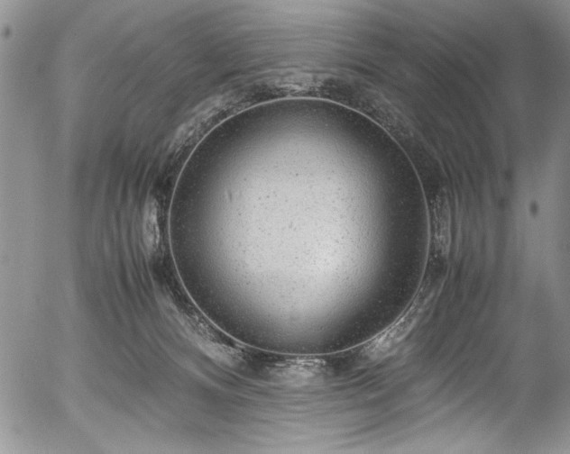 X0000054370128200508011230