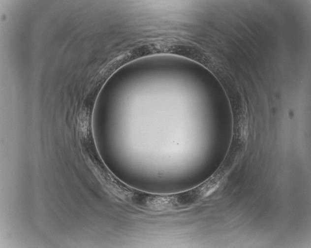 X0000054370129200508011230