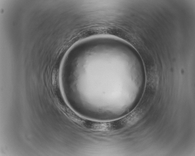 X0000054370131200508011230