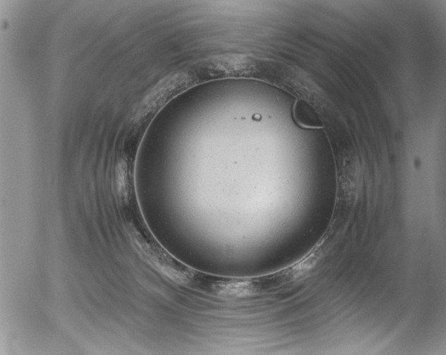 X0000054370132200508011230