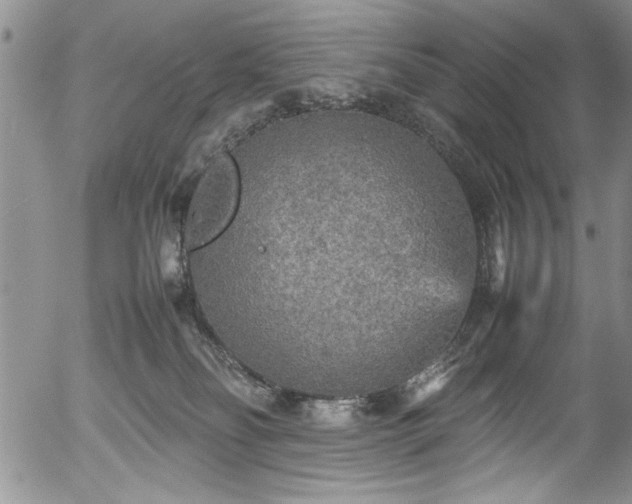 X0000054370134200508011230