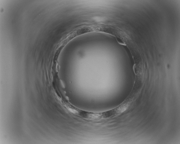 X0000054370139200508011230