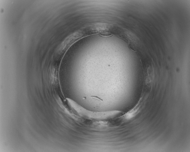 X0000054370140200508011230