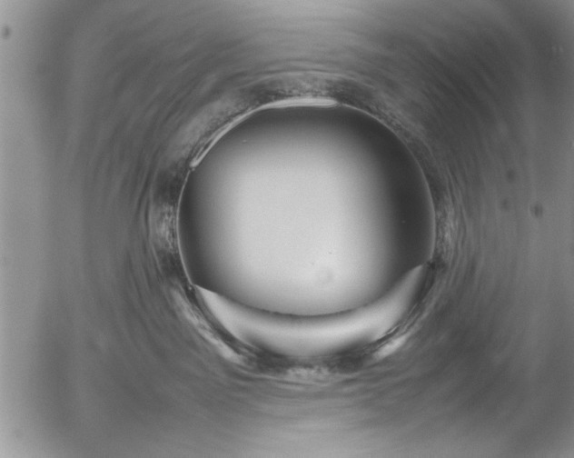 X0000054370141200508011230