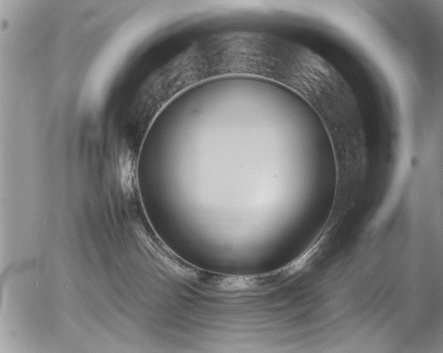 X0000054370142200508011230